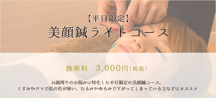 美容鍼ライトコース